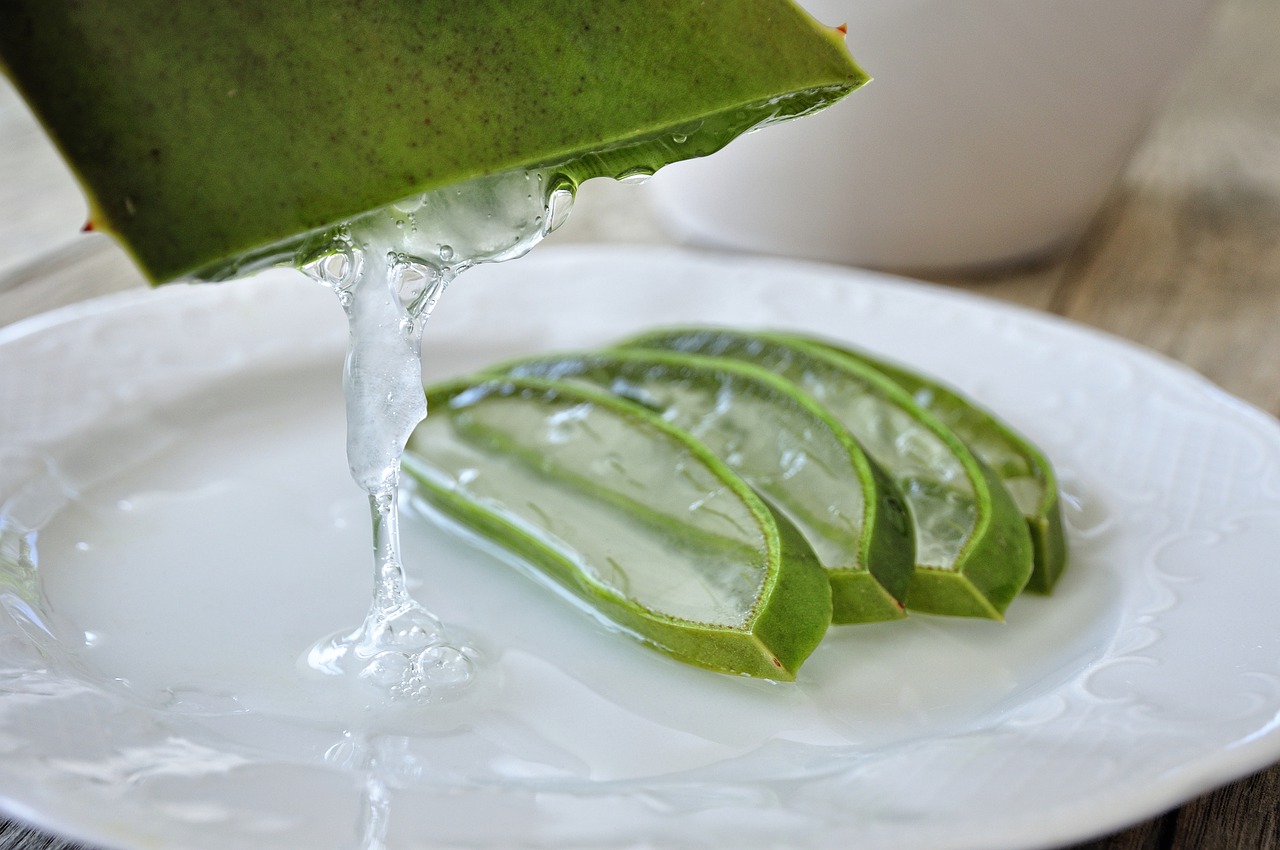 Aloevera Suyu Faydaları Nelerdir? 2 Adımda Aloevera Suyu Nasıl Hazırlanır?